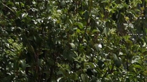 En México, narco “cobra piso” hasta las iglesias, según confesiones de Cardenal
