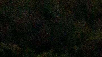 Encuentran al menos 42 migrantes muertos dentro de tráiler abandonado en Texas