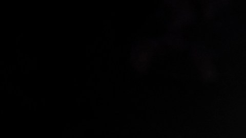 La muerte de los 53 inmigrantes en Texas ha intensificado el debate por las políticas migratorias.