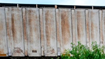 Aumenta a 53 los migrantes muertos en caja de camión de Texas