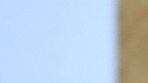 Harry Styles aceptando el premio a Best Pop Solo Performance por 'Watermelon Sugar' en el escenario de los Premios GRAMMY Awards 2021.