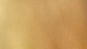 JERSEY CITY - MARCH 25: Few rifles remain on the shelf at Caso's Gun-A-Rama store on March 25, 2021 in Jersey City, New Jersey. Caso's Gun-A-Rama has had a significant increase in business with lines often out the door as more people buy guns for security and for fear that there will be increased bans on them. In the wake of recent mass shootings, the Biden administration is pushing for the Senate to pass gun legislation already passed by the House. Area gun businesses have seen a rise in sales recently that has even led to a shortage of bullets. (Photo by Spencer Platt/Getty Images)