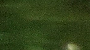 Caimán atrapa a un hombre y lo arrastra a un estanque para matarlo en Myrtle Beach