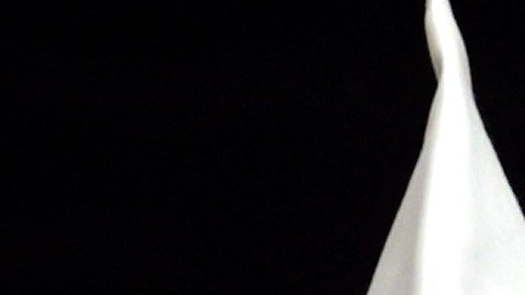 La policía estatal colaboró con este asesinato.
