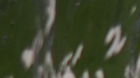 Otra ola de calor extremo se extiende por Estados Unidos.