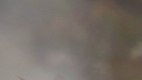 Hay más de 850 incendios forestales activos en el país, donde ya se vive “calores peligrosos y temperaturas altas sin precedentes"