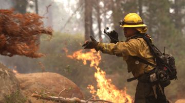 Hay más de 850 incendios forestales activos en el país, donde ya se vive “calores peligrosos y temperaturas altas sin precedentes"