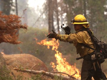 Hay más de 850 incendios forestales activos en el país, donde ya se vive “calores peligrosos y temperaturas altas sin precedentes"