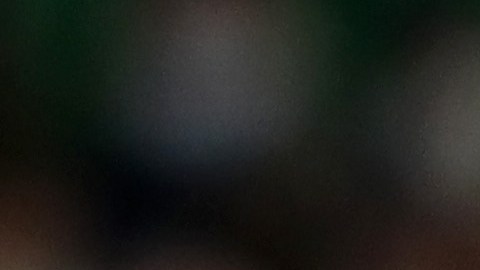 Diego Lainez