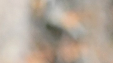 Mike Tyson, leyenda del boxeo.