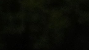 Ulises Dávila, el capitán del Macarthur FC, es canterano de Chivas.