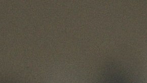 Alexandria Ocasio-Cortéz Joe Biden Elecciones 2024