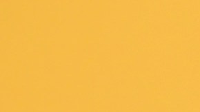 Rebel Wilson en la proyección especial de la película de Netflix "Senior Year".