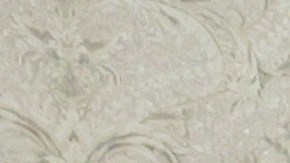 Biden reunido con Powell