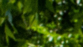 Superintendente de Uvalde anuncia nuevos protocolos de seguridad escolar tras masacre, pero rehúye a hablar del tiroteo