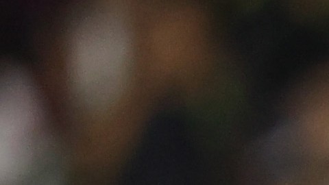 El mexicano buscará ser campeón en el balompié de la Liga MX.