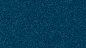 Florida Ron DeSantis vacunas covid-19