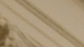 Los Proud Boys, el grupo detrás de la toma Capitolio, según investigadores