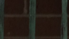 Brooklyn Nueva York Arrollamiento