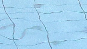 La FINA anunció que no podrán competir las atletas transexuales en la rama femenina.