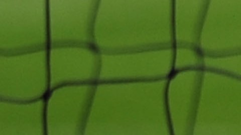 El fútbol nunca había captado la misma base de aficionados estadounidenses que el fútbol americano, el béisbol o el baloncesto.