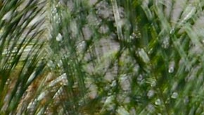 RIALTO, CA - JUNE 17: Rialto police officers and volunteers keep watch in front of Rodney King's home after he was found dead on June 17, 2012 in Rialto, California. King, whose video beating by Los Angeles police in 1991 sparked riots after the acquittal of the four officers involved, was found dead at the age of 47 from an apparent drowning in his swimming pool. (Photo by Kevork Djansezian/Getty Images)