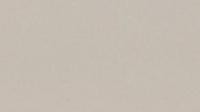 A dog with a US flag is seen during the ISA World Master Championship in Tola, 120 km south of Managua, on July 21, 2012. AFP PHOTO/ Hector RETAMAL (Photo by Hector RETAMAL / AFP) (Photo by HECTOR RETAMAL/AFP via Getty Images)