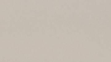 A dog with a US flag is seen during the ISA World Master Championship in Tola, 120 km south of Managua, on July 21, 2012. AFP PHOTO/ Hector RETAMAL (Photo by Hector RETAMAL / AFP) (Photo by HECTOR RETAMAL/AFP via Getty Images)