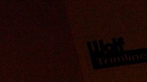 Los hispanos con más de 20 años en EE.UU. son más asiduos a acudir al médico.