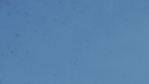 Hace 40 años, el 12 de junio de 1982, aproximadamente un millón de personas se manifestaron en el Central Park de la ciudad de Nueva York contra las armas nucleares y por el fin de la carrera armamentista de la guerra fría. Nada parecía haber sucedido antes.