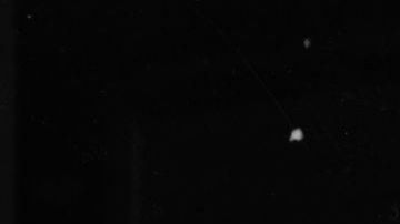 Kate Bush autografiando su álbum "Never Forever" en 1980.