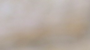 Kelly Holmes se abrió sobre su orientación sexual en una entrevista.