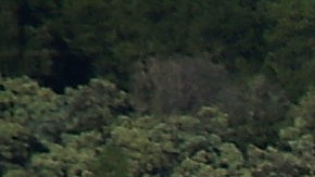 REDDING, CA - AUGUST 30: Low water levels are visible on the banks of Shasta Lake on August 30, 2014 in Redding, California. As the severe drought in California continues for a third straight year, water levels in the State's lakes and reservoirs is reaching historic lows. Shasta Lake is currently near 30 percent of its total capacity, the lowest it has been since 1977. (Photo by Justin Sullivan/Getty Images)