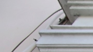 MIAMI, FL - DECEMBER 10: A sign hangs on a Lululemon Athletica on December 10, 2013 in Miami, Florida. Lululemon Athletica, Inc. named Laurent Potdevin as their new chief executive and said founder Chip Wilson will step down as chairman after Wilson recently issued a formal apology for remarks he made about how "some women's bodies just don't actually work" for his company's yoga pants. (Photo by Joe Raedle/Getty Images)