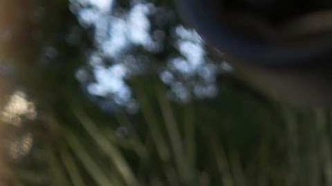 Los tiroteos masivos eran comunes en los Estados Unidos en 2015, pero la masacre de Charleston fue un claro acto de violencia supremacista blanca.