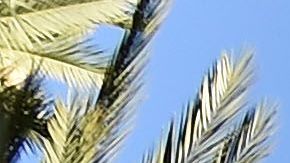 Buzz Lightyear flotando encima de la entrada de la D23 EXPO 2015.