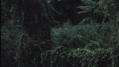 Esta serie causó furor en los fanáticos.