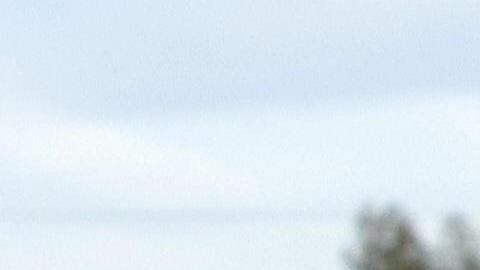 Bagger comenzó a jugar al golf cuando tenía ocho años antes de someterse a una cirugía de cambio de sexo a los 28.