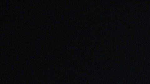 Gareth Bale, nuevo delantero del LAFC.