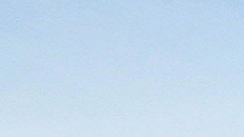Todos los pasajeros y tripulación del vuelo murieron tras el siniestro.