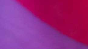 Black Lives Matter Orgullo Gay Massachussets