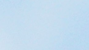 SYDNEY, AUSTRALIA - MARCH 20: A Grey-Headed Flying Fox flies through the air at the Royal Botanic Gardens March 20, 2008 in Sydney, Australia. Flying Foxes, or fruit bats, have taken up permanent roosts in the Botanic Gardens, causing major damage to heritage trees in the park. The Royal Botanic Gardens has begun a program to deter the flying foxes from roosting, as there are now some 11,000 bats roosting in the park. Deterents include noise to disturb sleep patterns, plastic bags attached to branches of trees, strobe lights, odours, and the playing of taped distress calls. (Photo by Ian Waldie/Getty Images)