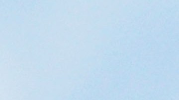 SYDNEY, AUSTRALIA - MARCH 20: A Grey-Headed Flying Fox flies through the air at the Royal Botanic Gardens March 20, 2008 in Sydney, Australia. Flying Foxes, or fruit bats, have taken up permanent roosts in the Botanic Gardens, causing major damage to heritage trees in the park. The Royal Botanic Gardens has begun a program to deter the flying foxes from roosting, as there are now some 11,000 bats roosting in the park. Deterents include noise to disturb sleep patterns, plastic bags attached to branches of trees, strobe lights, odours, and the playing of taped distress calls. (Photo by Ian Waldie/Getty Images)