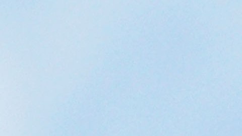 SYDNEY, AUSTRALIA - MARCH 20: A Grey-Headed Flying Fox flies through the air at the Royal Botanic Gardens March 20, 2008 in Sydney, Australia. Flying Foxes, or fruit bats, have taken up permanent roosts in the Botanic Gardens, causing major damage to heritage trees in the park. The Royal Botanic Gardens has begun a program to deter the flying foxes from roosting, as there are now some 11,000 bats roosting in the park. Deterents include noise to disturb sleep patterns, plastic bags attached to branches of trees, strobe lights, odours, and the playing of taped distress calls. (Photo by Ian Waldie/Getty Images)