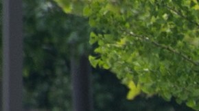 Tiroteo South Street Filadelfia Philadelphia