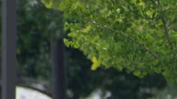 Tiroteo South Street Filadelfia Philadelphia