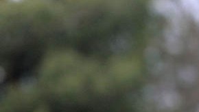 La policía continúa la investigación porque no comprende cómo llegó el pequeño hasta el lugar donde lo encontraron.