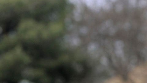 La policía continúa la investigación porque no comprende cómo llegó el pequeño hasta el lugar donde lo encontraron.