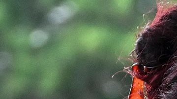 Las autoridades ponen números de emergencia para que familiares identifiquen a sus seres queridos.