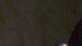 Giovanni Medina / Ninel Conde.